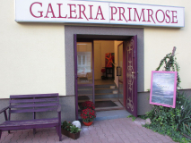 WYSTAWA- BARWY - Galeria Primrose